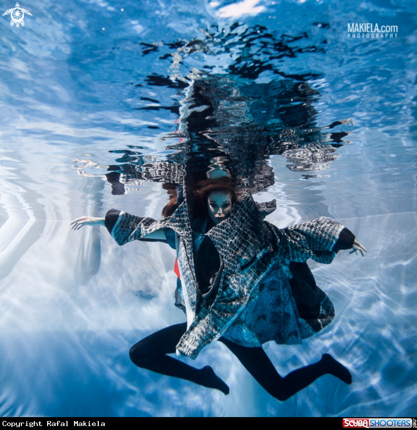 A underwater creature