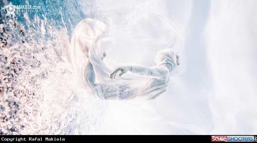 A underwater creature