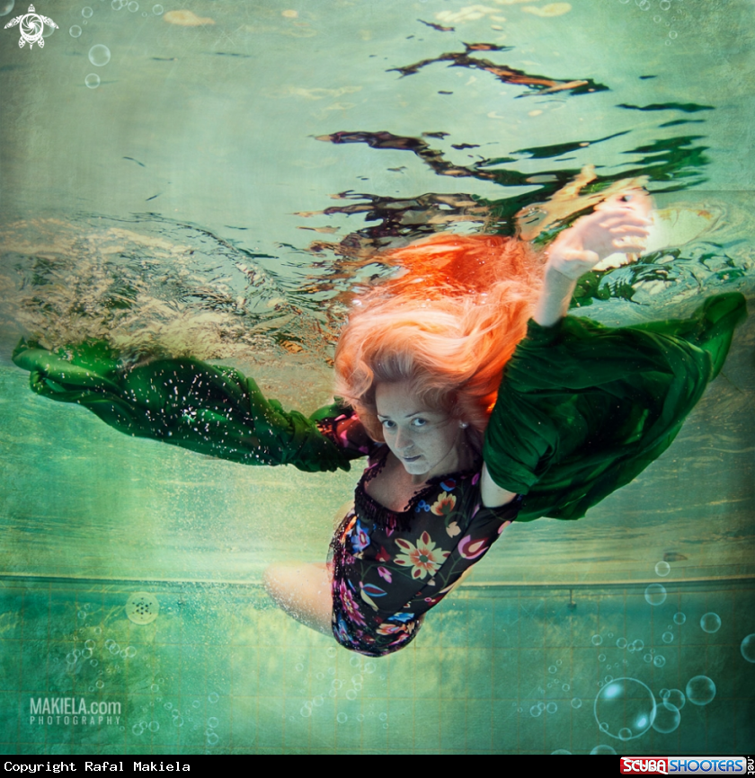 A underwater creature