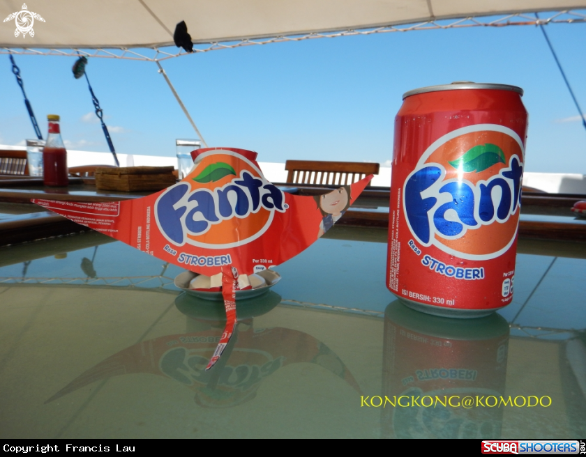 A Fanta Ray