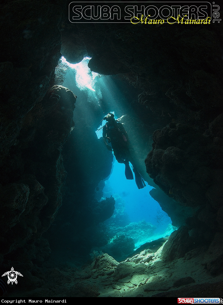 A Jackfish alley caves(Ras Mohammed)
