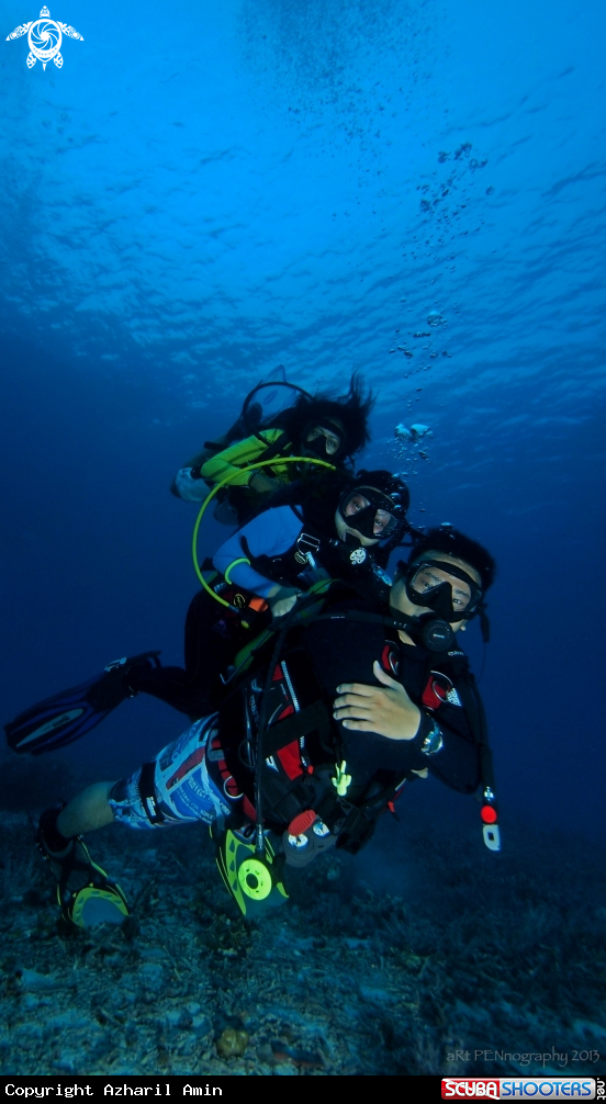 A aRt of divers....