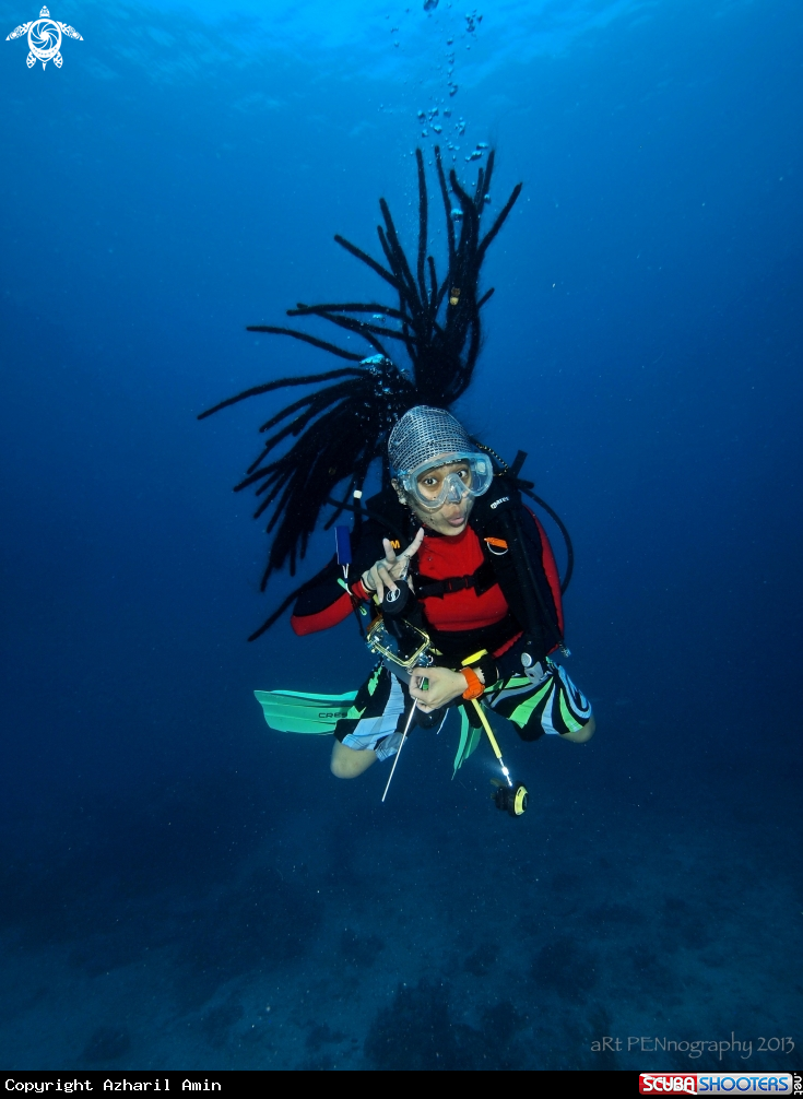 A aRt of divers....