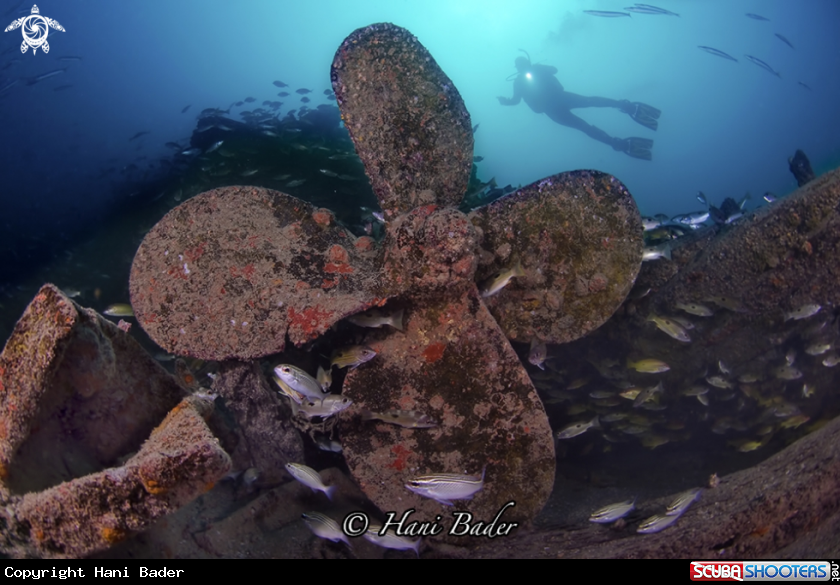 A Al boom Wreck