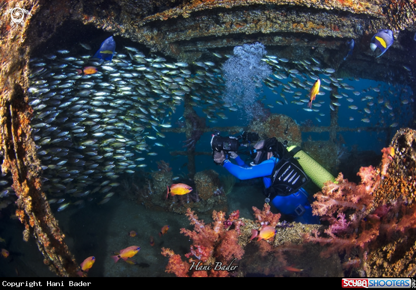 A Al Munassir Wreck