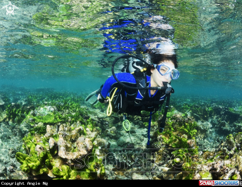 A Diver 