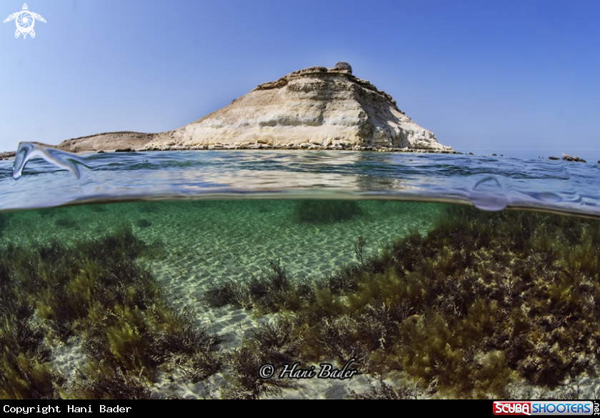 A Hawar island