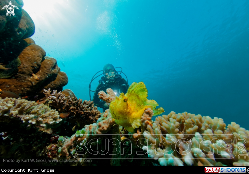 A Leaffish with Eliane