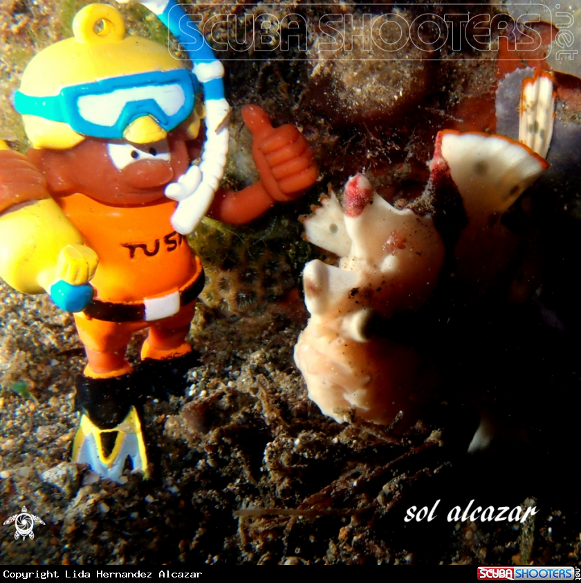 A underwater creature