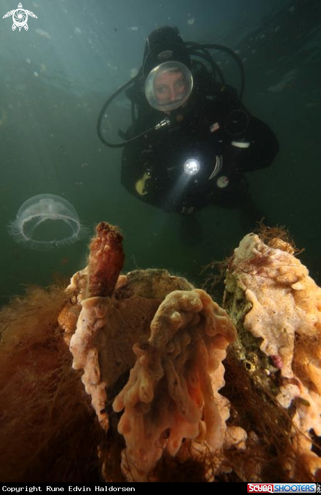 A Scuba diver
