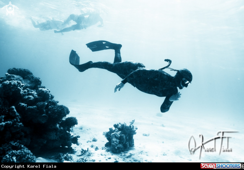 A freediver