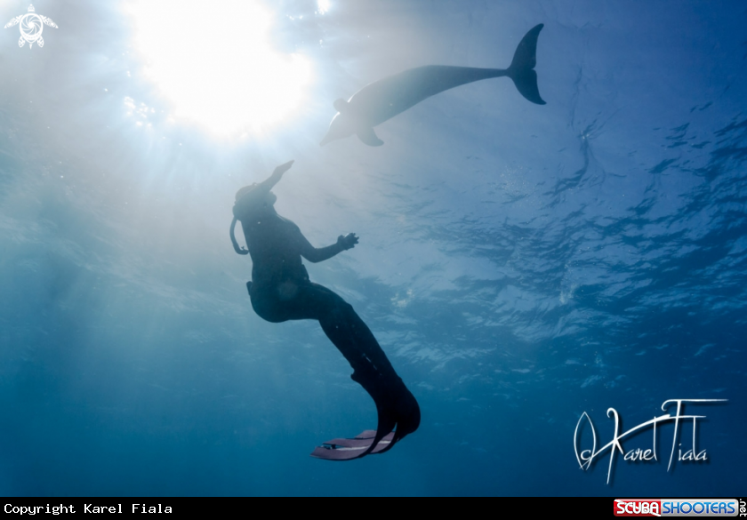 A underwater creature