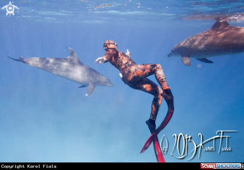 A underwater creature