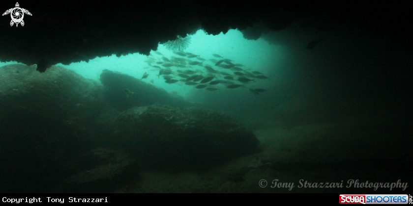 A Number 3 Cave
