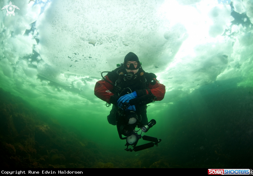 A Scuba diver