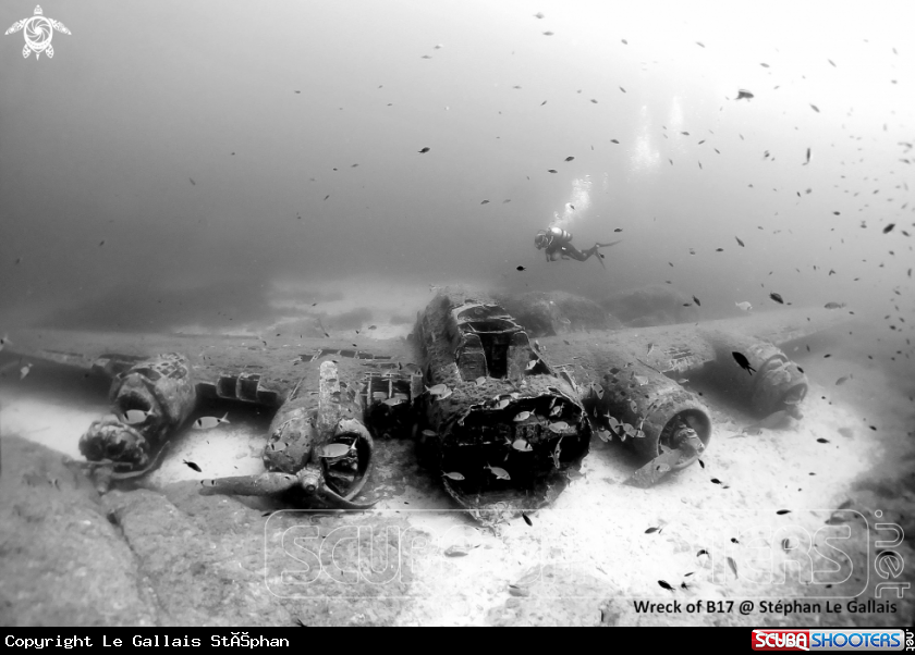 A Wreck Of B17