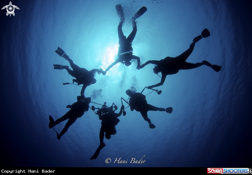 A Divers