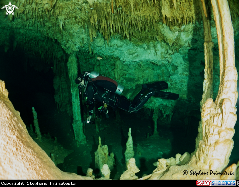 A Cenote Dream Gate