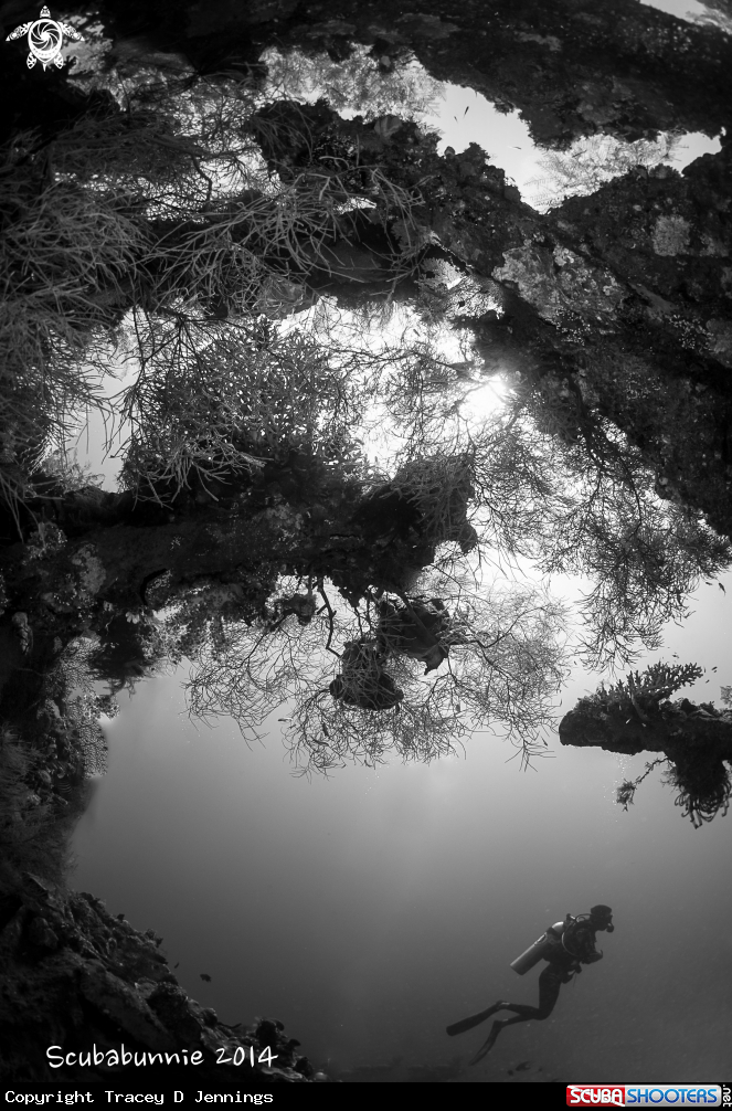 A Liberty Wreck - Bali