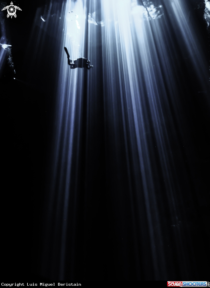 A Cenote The Pit
