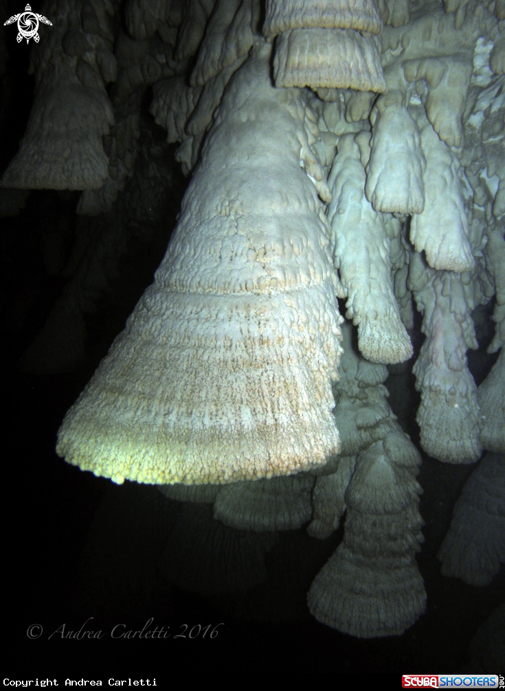 A Cenote Zapote