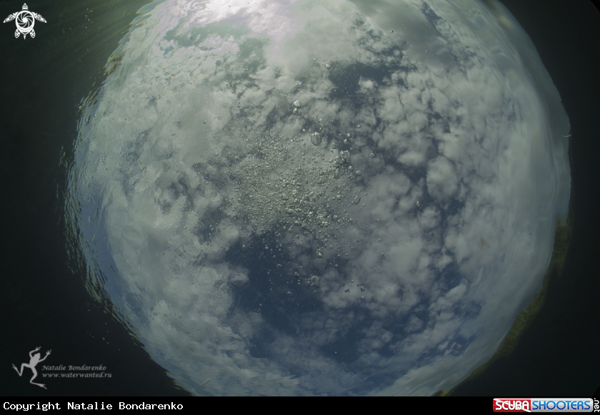A View from under the water