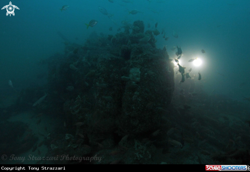 A Bonnie Dundee wreck