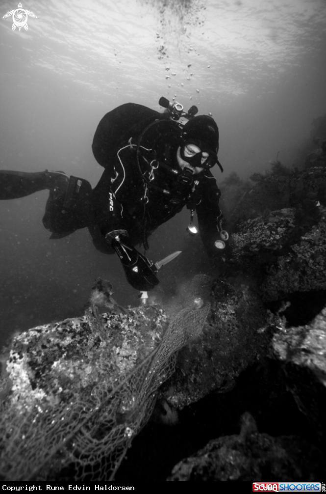 A Diver
