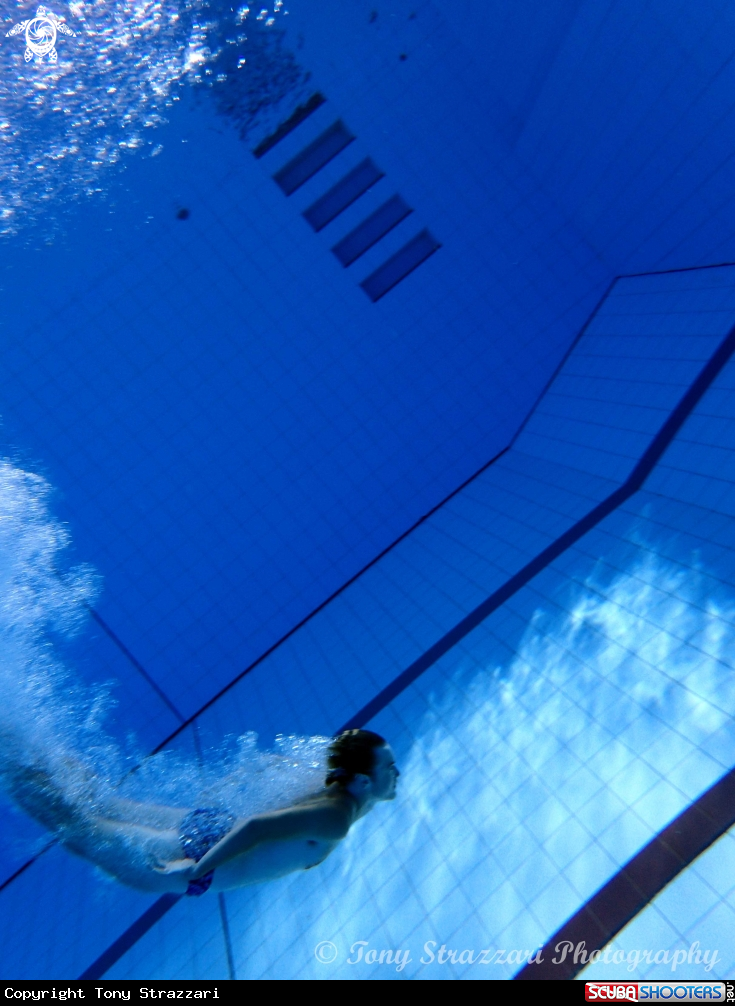 A Springboard diver