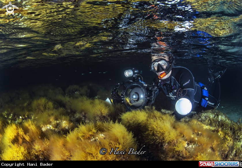 A Diver