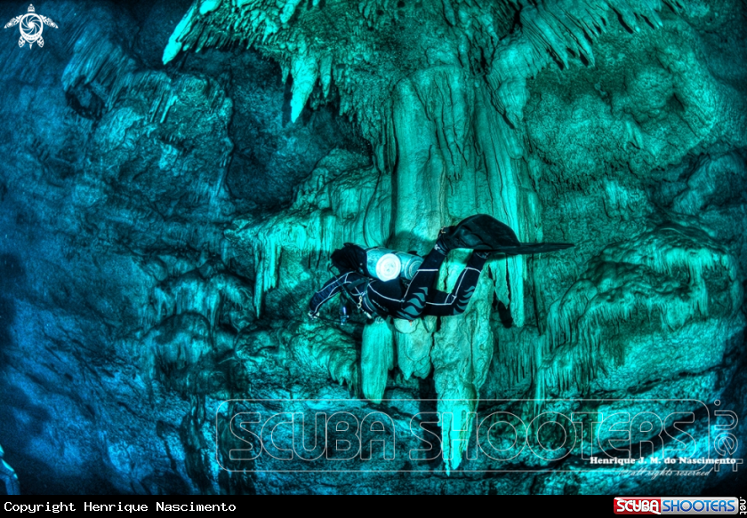 A Cenote