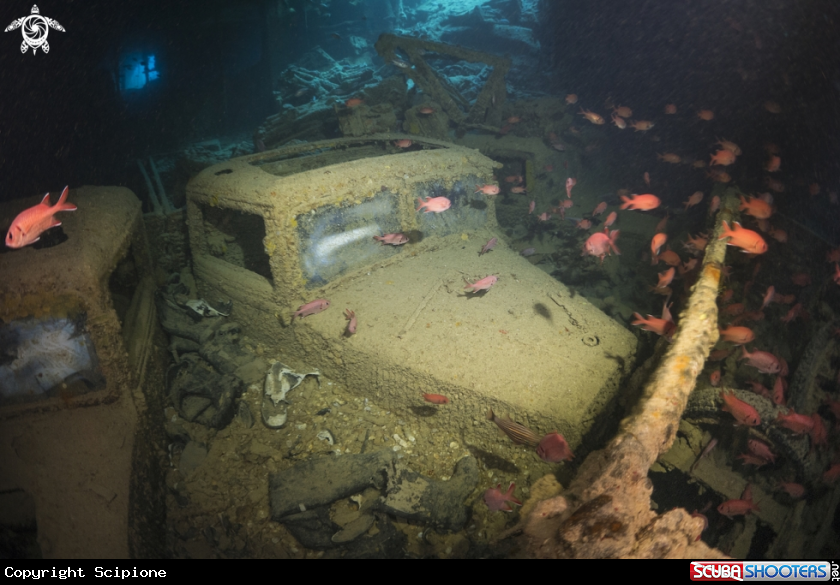 A A wreck full of life