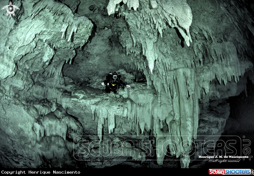 A Cenote