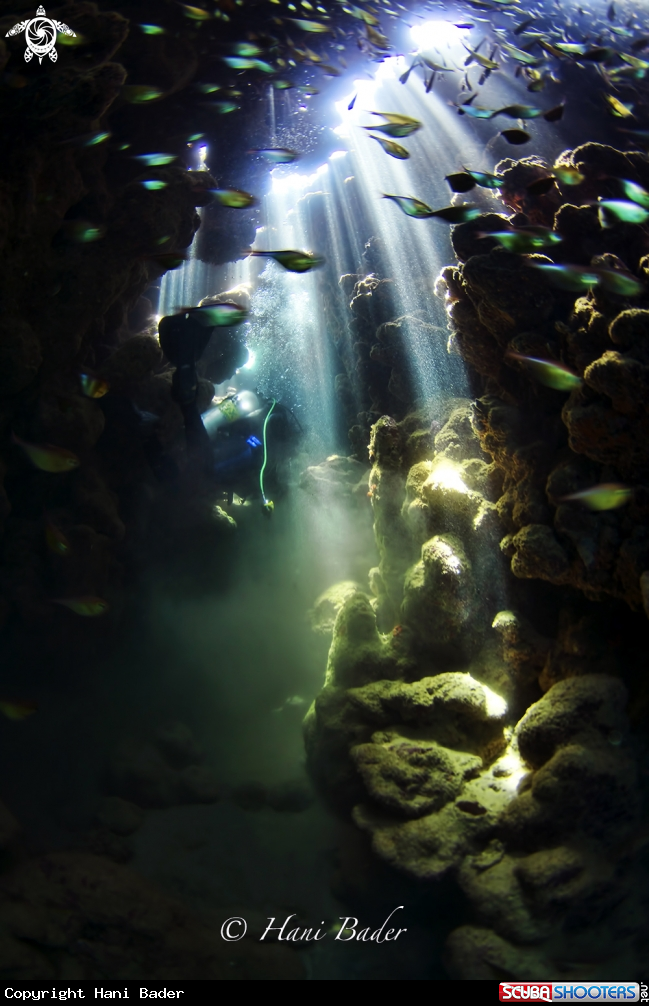A Jackfish alley