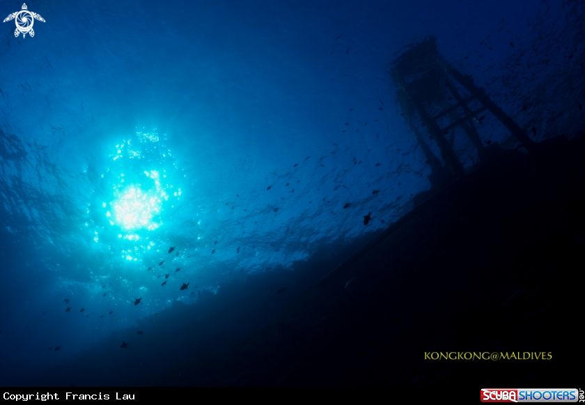 A Deep Blue