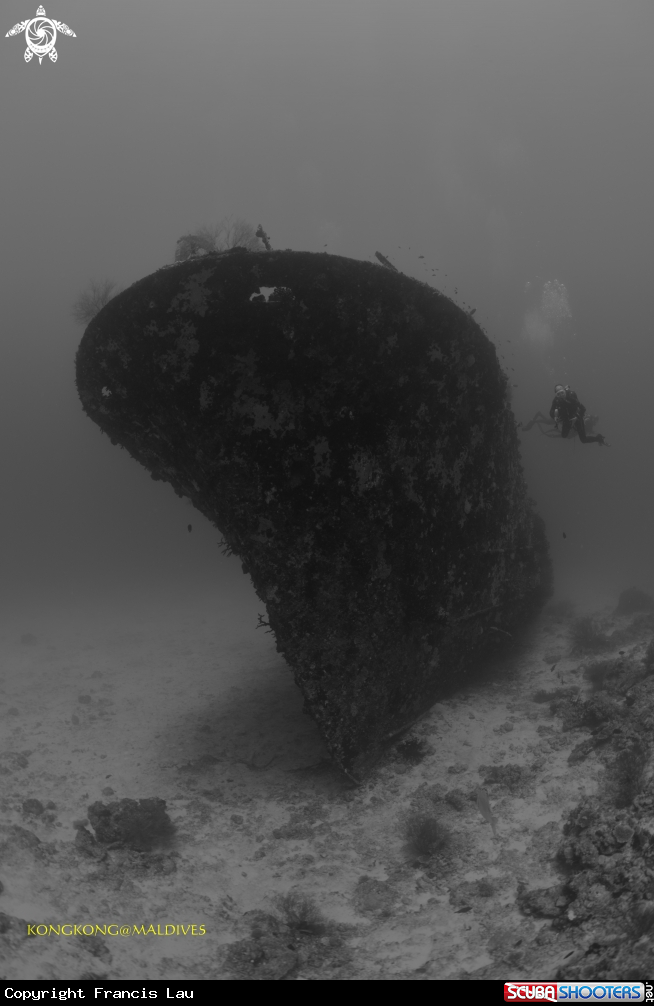 A Ship Wreck