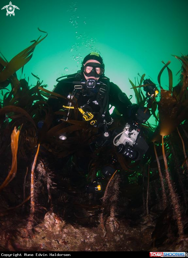 A Scuba diver