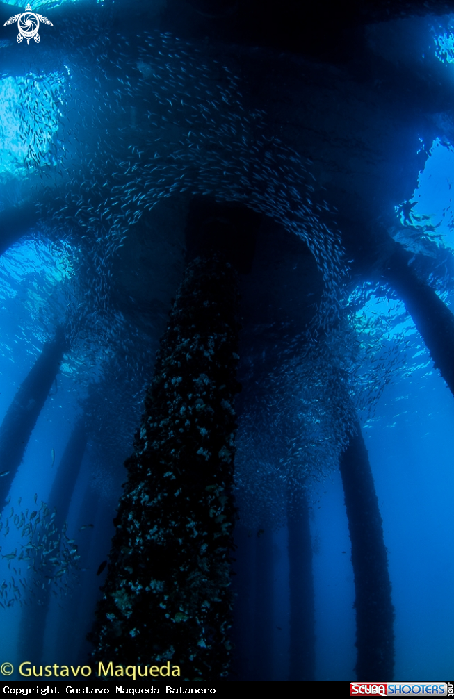 A The Jetty