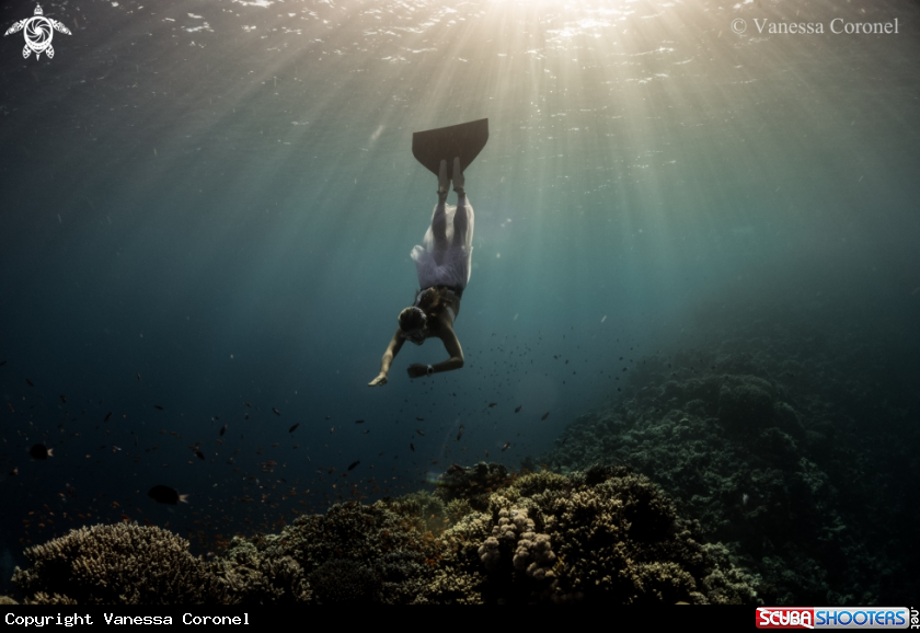 A Blue Hole 