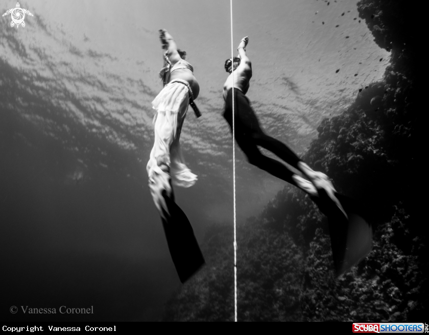 A Apnea and pregnancy