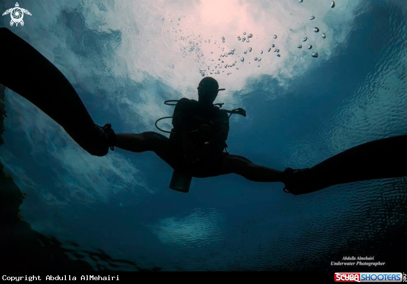 A Diver