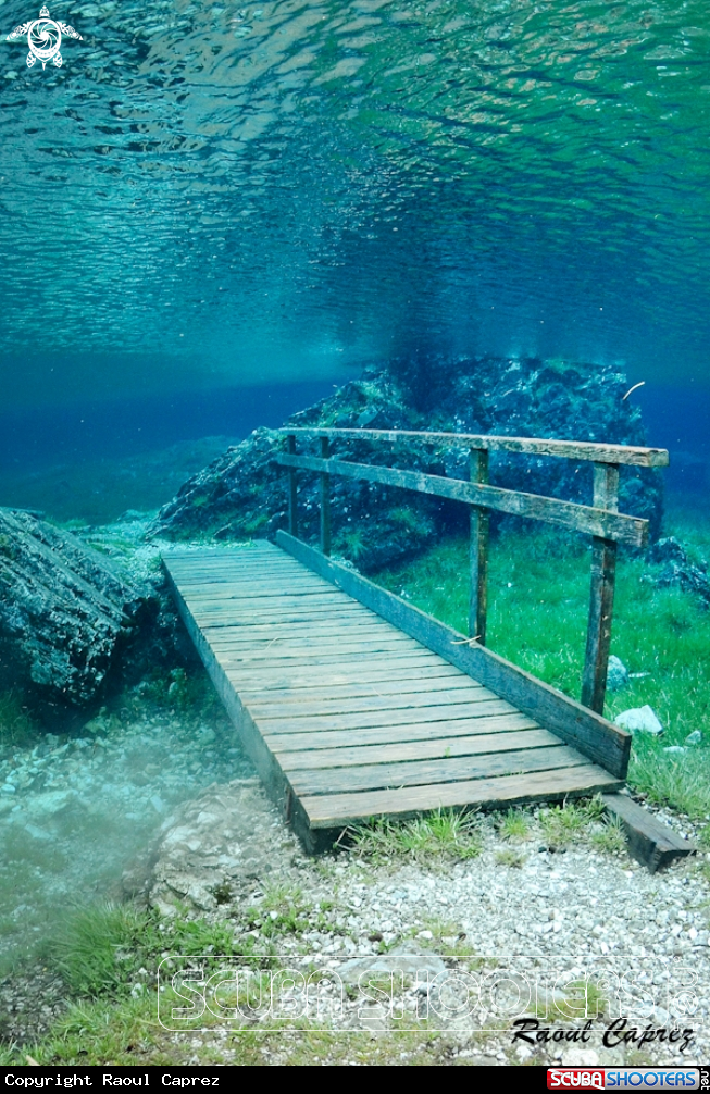 A Wood bridge