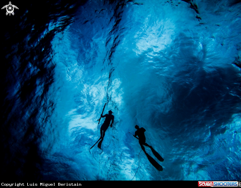 A Spearfisherman