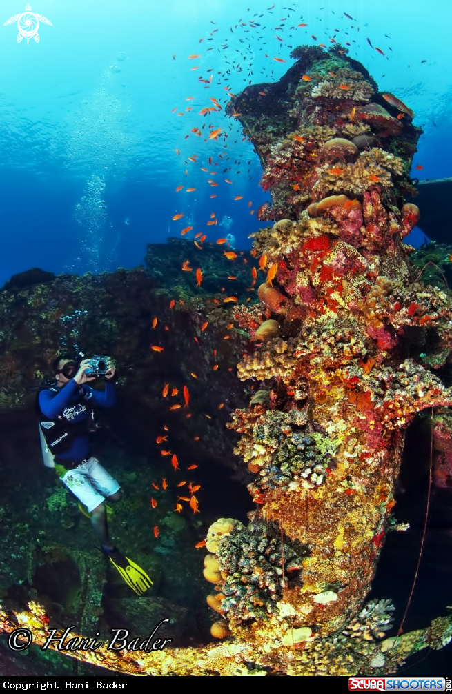 A Annan Wreck