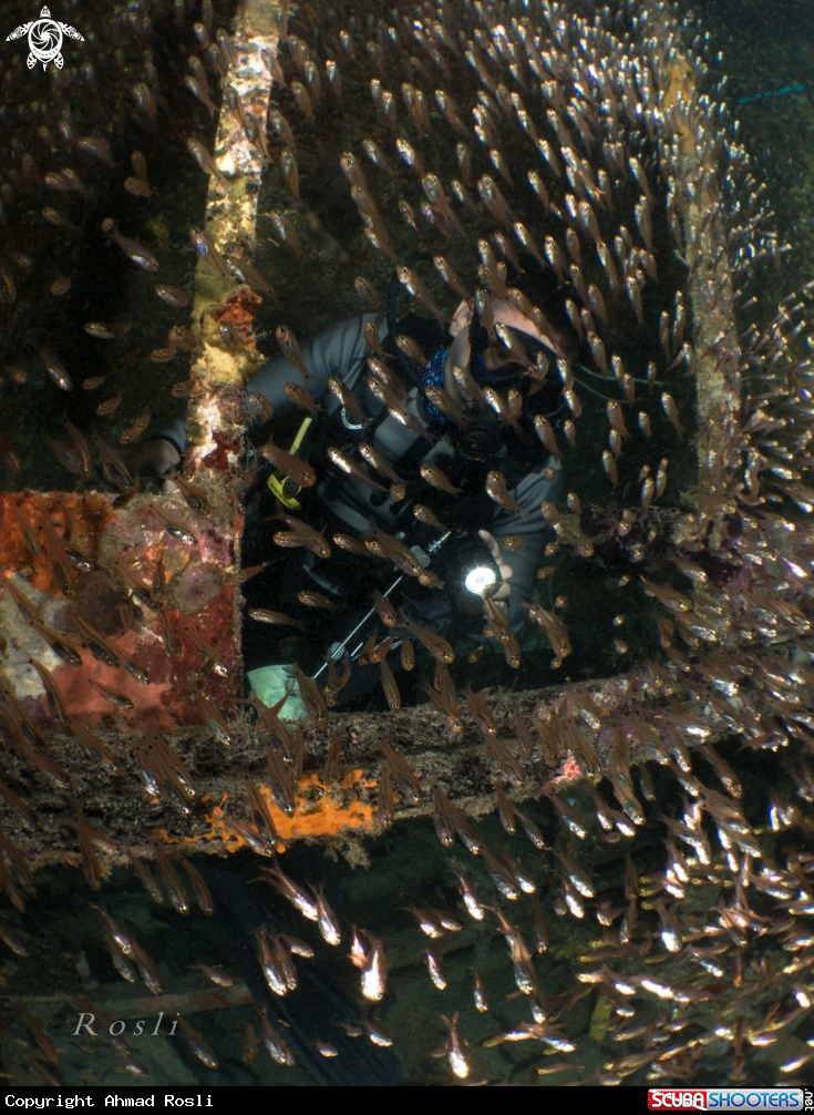 A Diver and Glass Fish