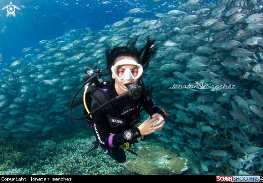 A Big eye trevally