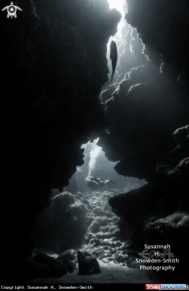 A Diver