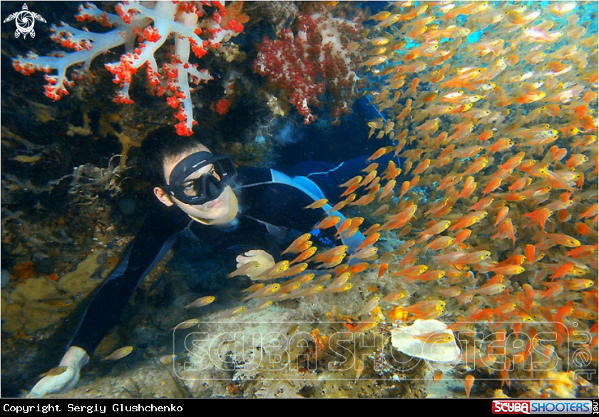 A underwater creature