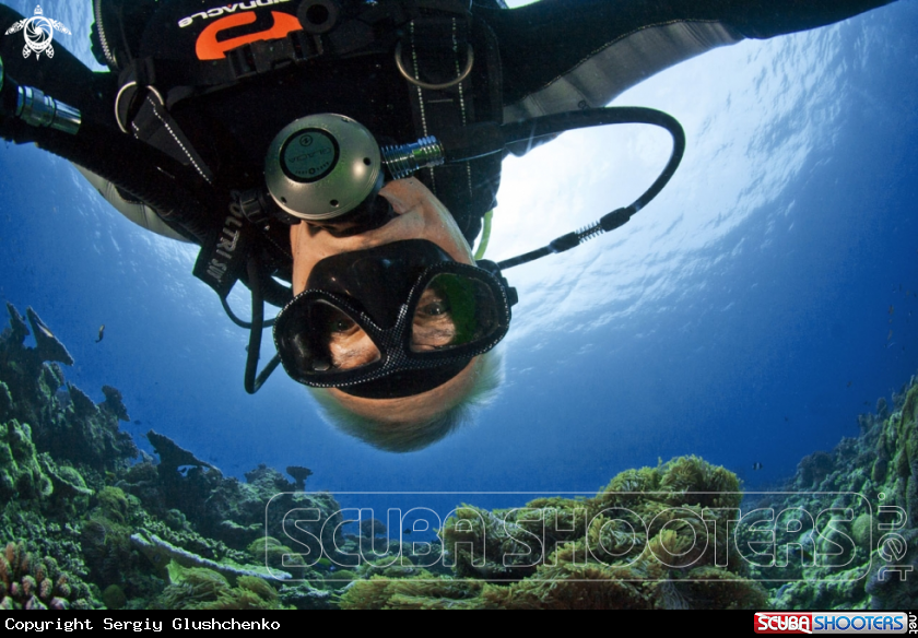 A underwater creature