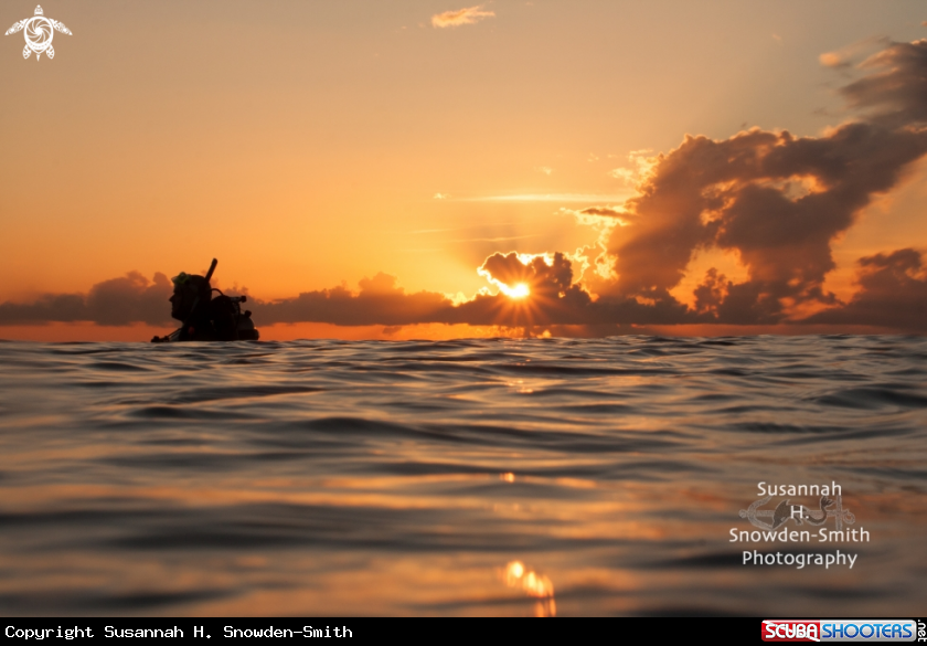 A Diver at sunset
